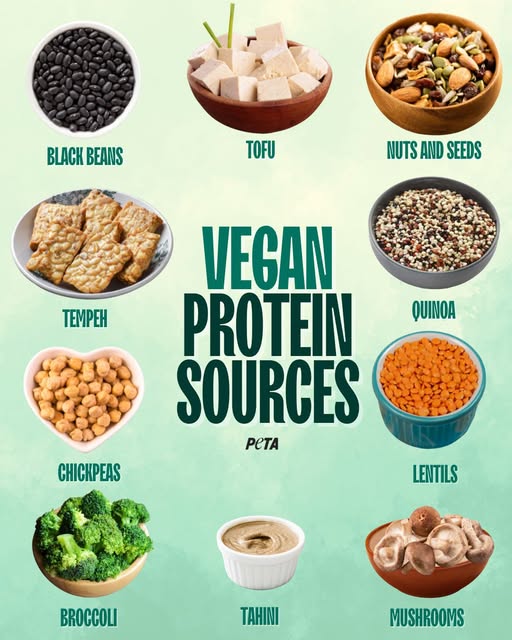 Protein,protein,protein